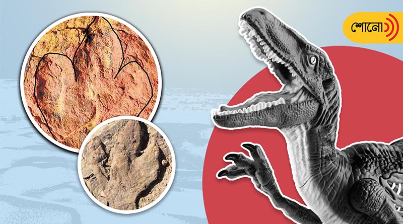Footprints of 3 dinosaur species found in Thar desert of Rajasthan