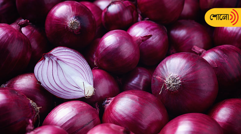Onion prices set to climb in September-November, monsoon to blame