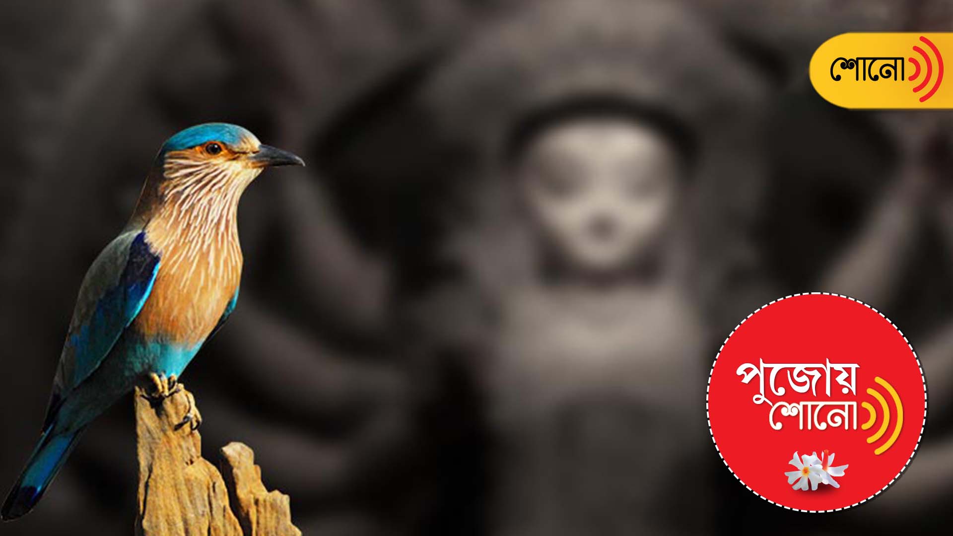 Durga Puja 2023: Ritual of Nilkantha Bird in Durga Puja