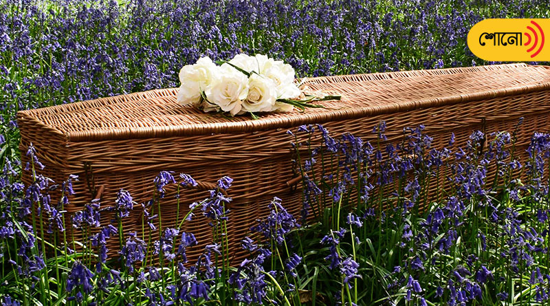 this biodegradable coffins are used for plantation too