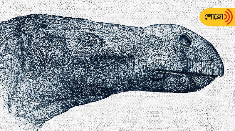 New species of big-nosed dinosaur discovered