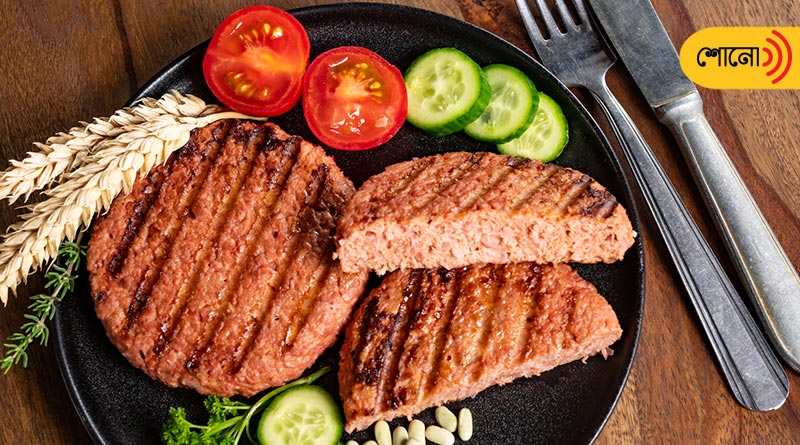 Is plant-based meat can fulfill protien deficiency
