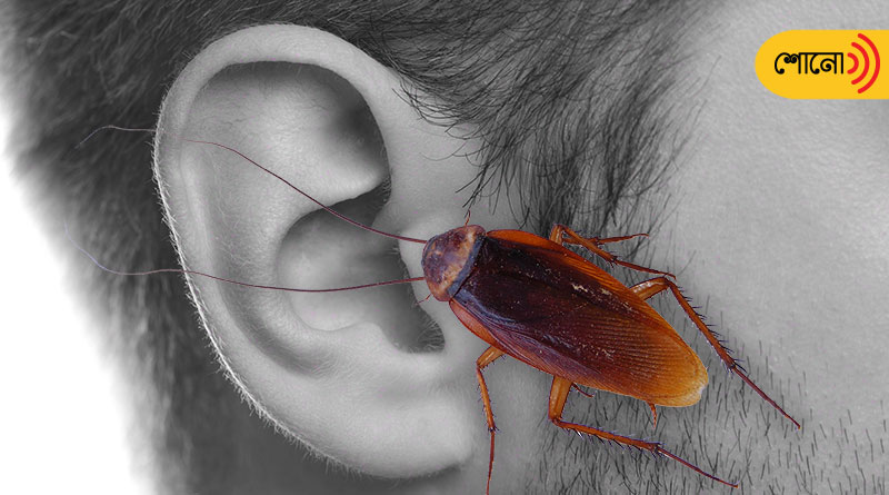 In a bizarre incident Cockroach Found Living Inside Man's Ear For 3 Days