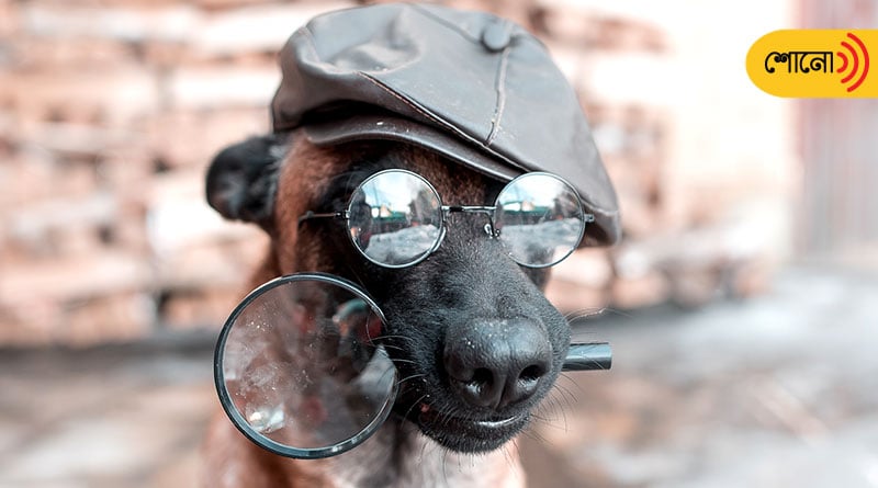 a dog was the first detective in the world, according to the Rik Veda