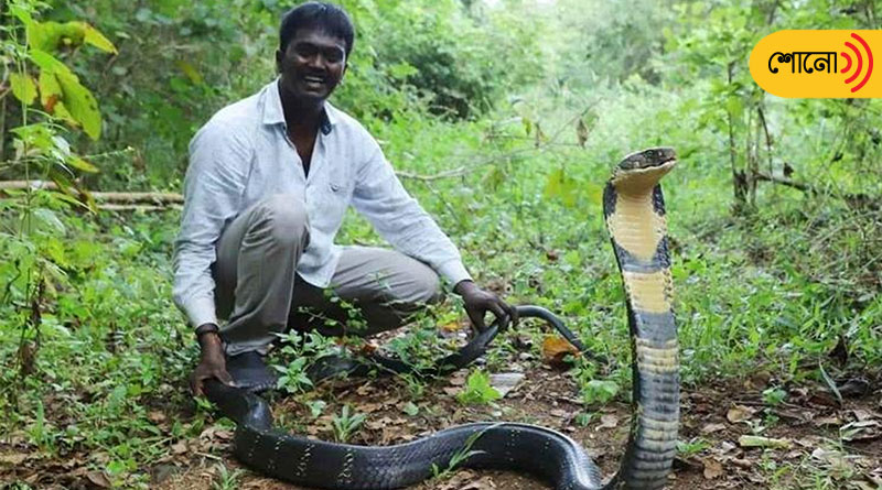 The story of a popular snake catcher in Kerala