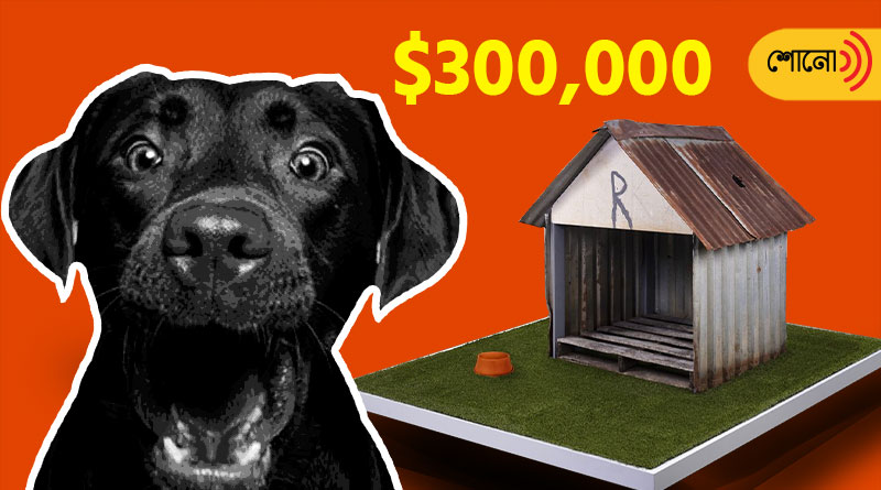 Costa Rican Doghouse draws high price in auction