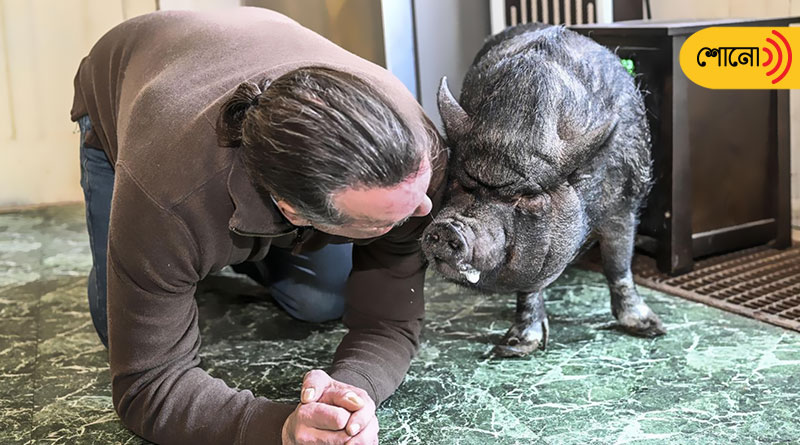 Man Fights Legal Battle for pet Pig