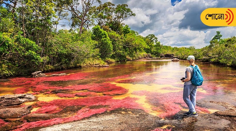 Colombia’s brightest rainbow is in its river