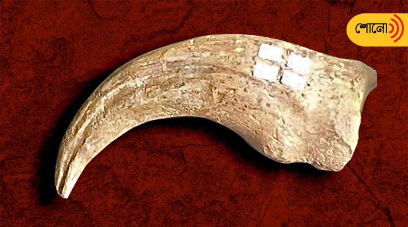 Man charged after allegedly stealing dinosaur claw