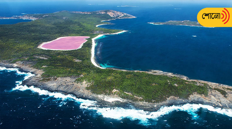 Know about Lake Hillier, A pink lake in Australia