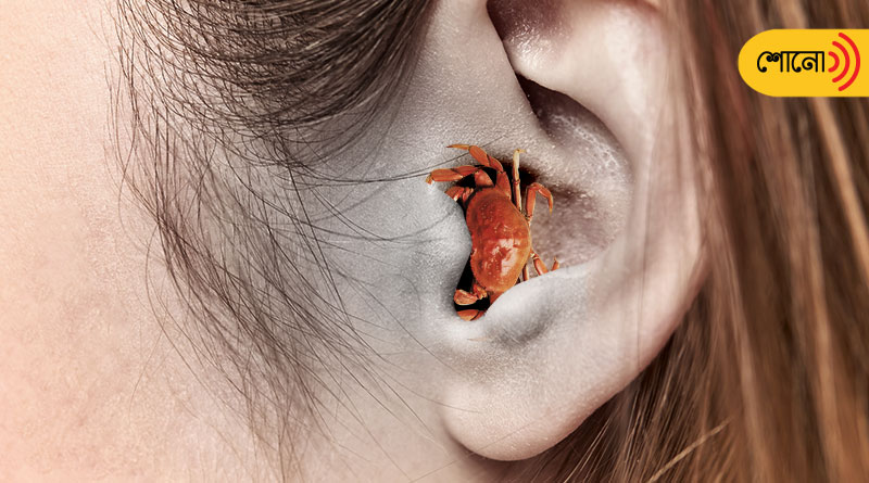 Crab Gets Stuck In Woman's Ear