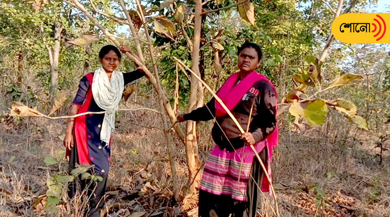 A woman home guard in Jamshedpur has created her own team of volunteers to safeguard forests