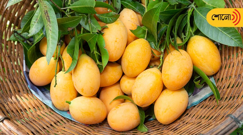 People have a lot of misconceptions about mangoes, which expert busts