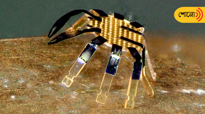 Engineers have unveiled the smallest remote-controlled robot ever created