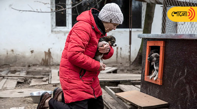 77-yr-old Ukrainian woman refuses to leave her animal shelter