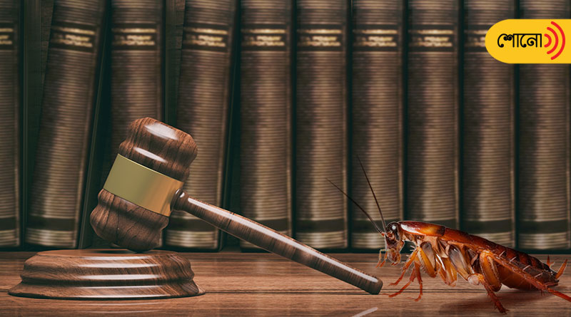Hundreds of cockroaches were released in a courtroom during an altercation