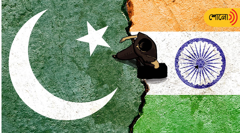 41 Indians became Pakistanis last year