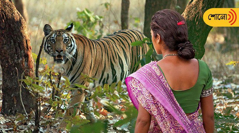 MP woman fights off tiger, saves son from its jaws