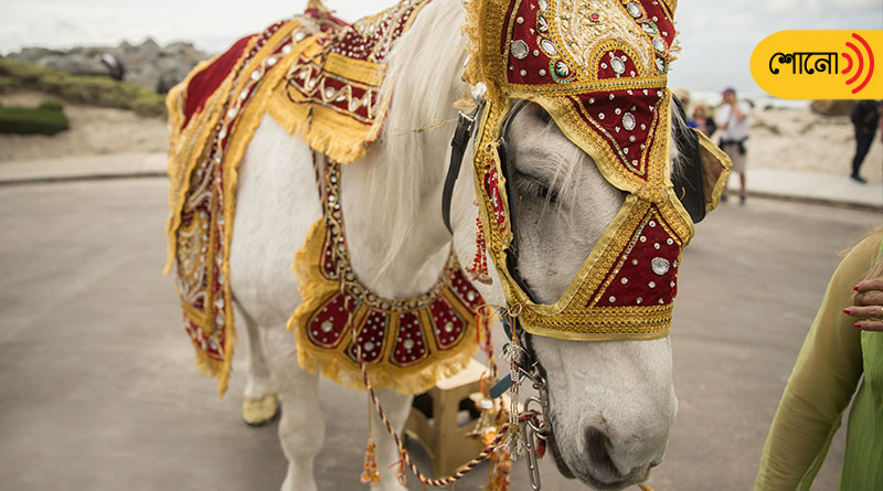 Muslim Family Ostracized For Riding on Wedding Horse