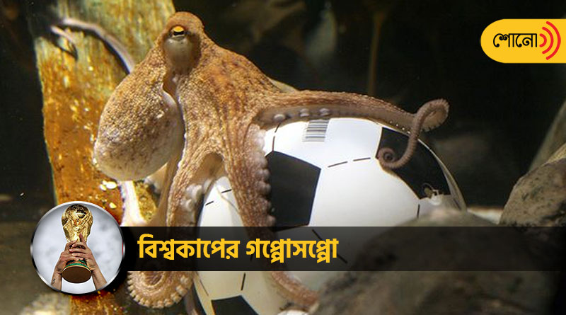 World Cup Diaries: Controversy about paul the Octopus