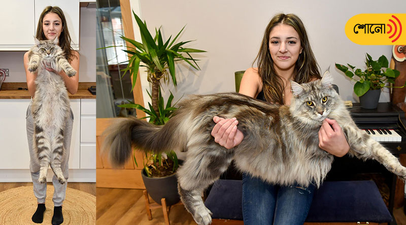 One metre long cat is expected to set world record
