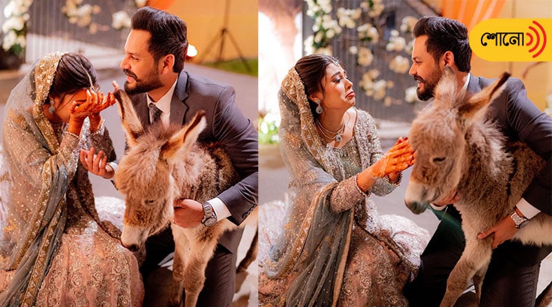 This is why Pakistani man gifts his wife a donkey