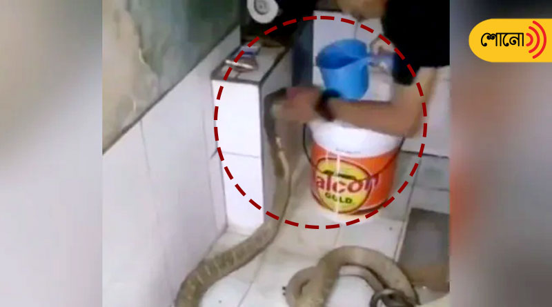 Viral video shows Man 'Bathing' Huge King Cobra, Netizen Stunned