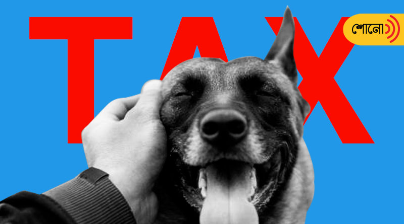 This is why MP’s Sagar to introduce 'dog tax'
