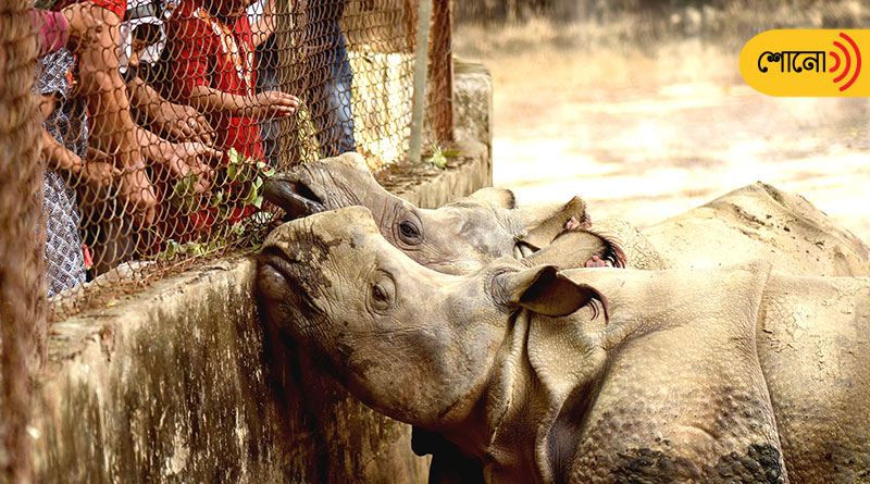 Guwahati zoo makes special arrangements for animals in winter