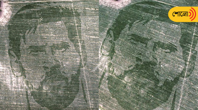 Argentine farmer grows 124-acre image of Lionel Messi