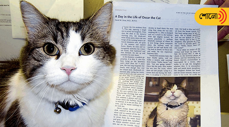 Oscar, the cat who could predict death of patients