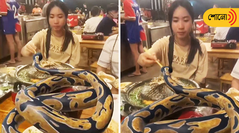 Video Of Women Dining With Python On Table Goes Viral