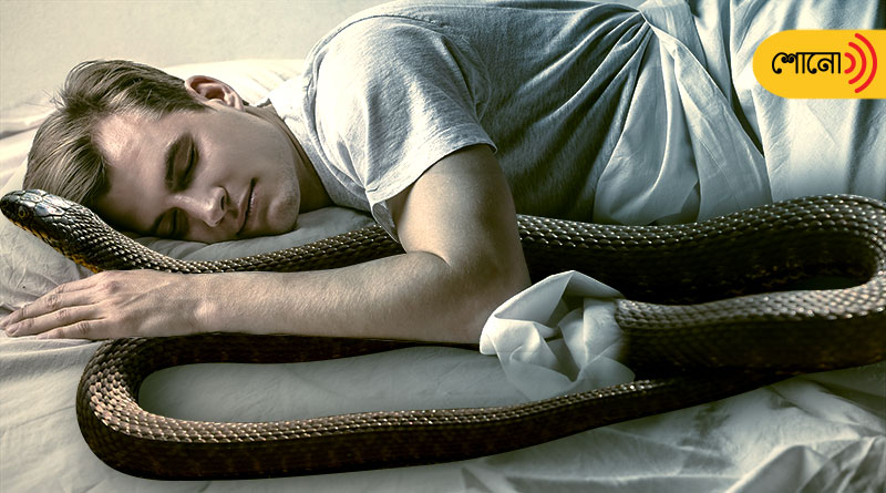 Man sleeps in tent with deadly snake, netizen surprised