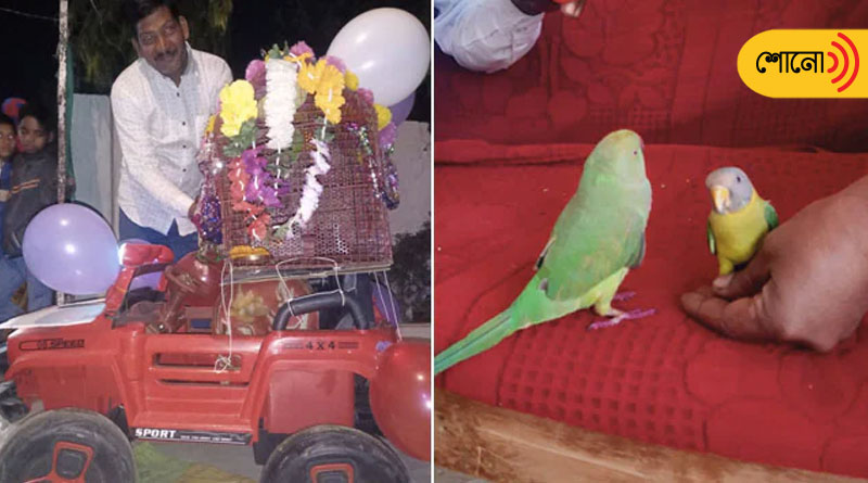 Village in MP celebrates marraige of two birds