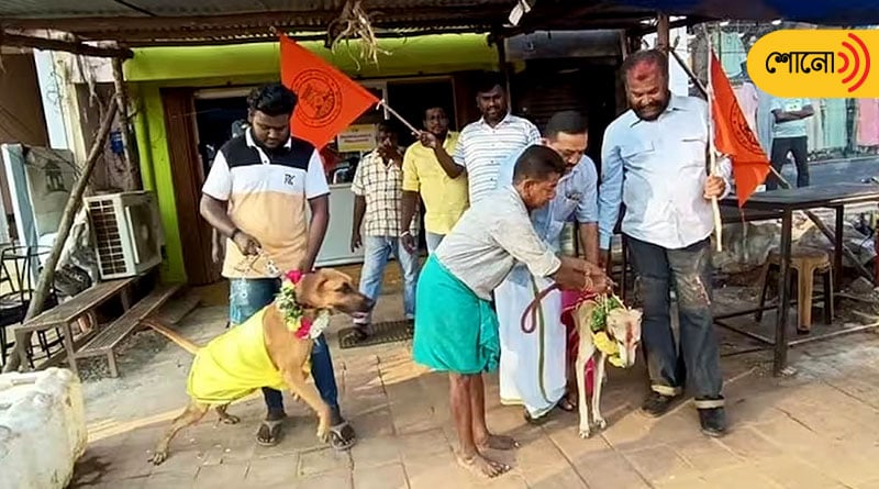 Hindu group gets dogs married to protest against Valentine's Day