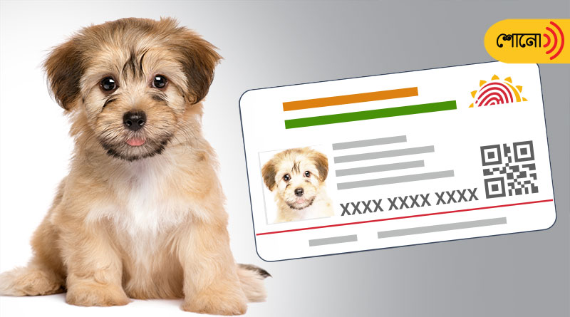 Dog Files Application For Caste Certificate In Bihar