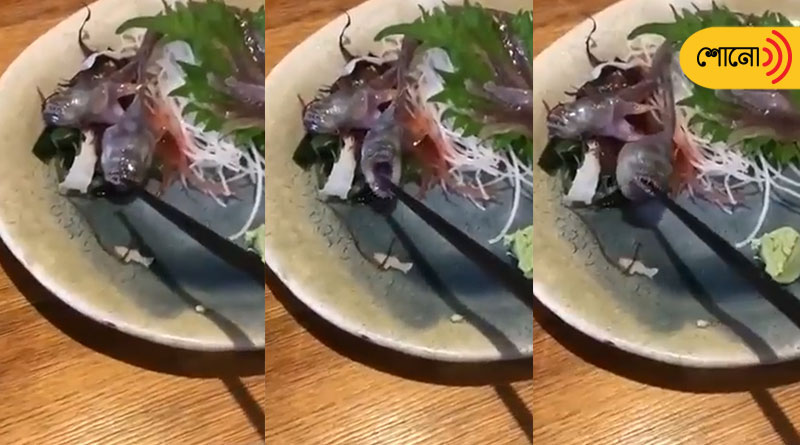 Raw Fish Served At Restaurant Bites Chopstick