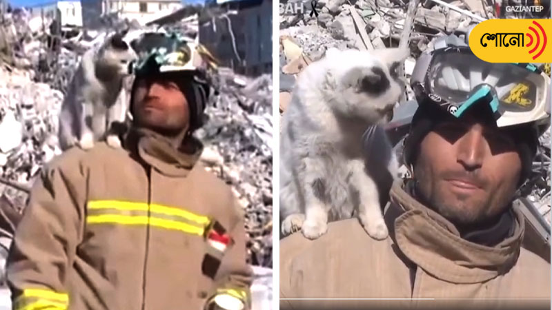 Rescued Cat Refuses To Leave Man Who Saved It from Turkey Earthquake