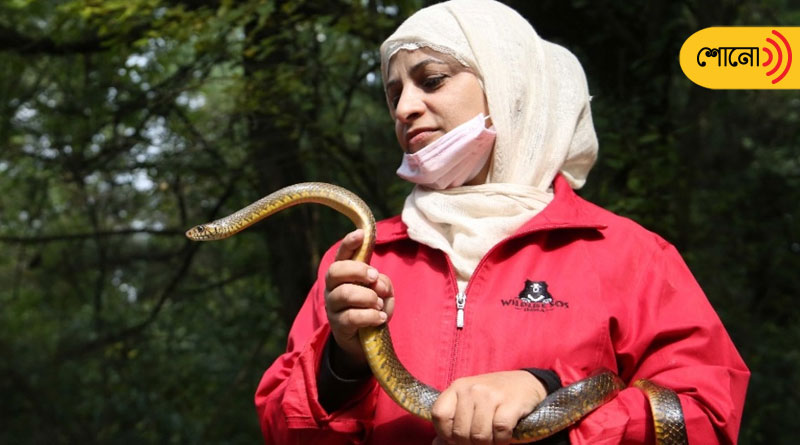 Aaliya Mir, Kashmir's first woman snake rescuer