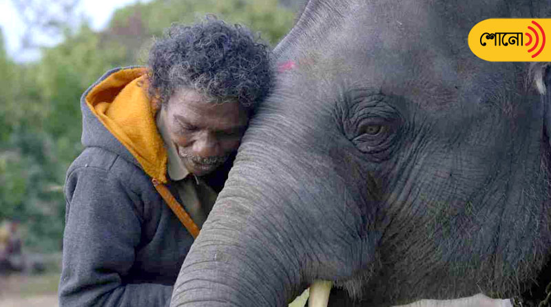 how is K Bomman after 'The Elephant Whisperers' wins Oscar