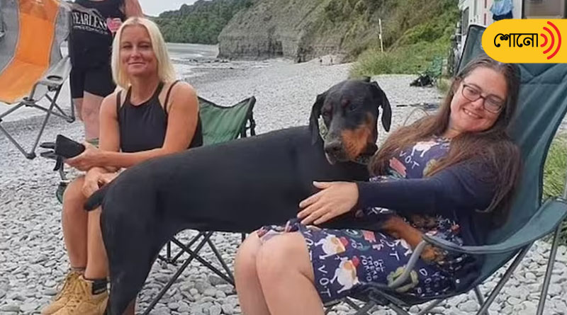 Pet dog saved its owner’s life by finding her kidney donor