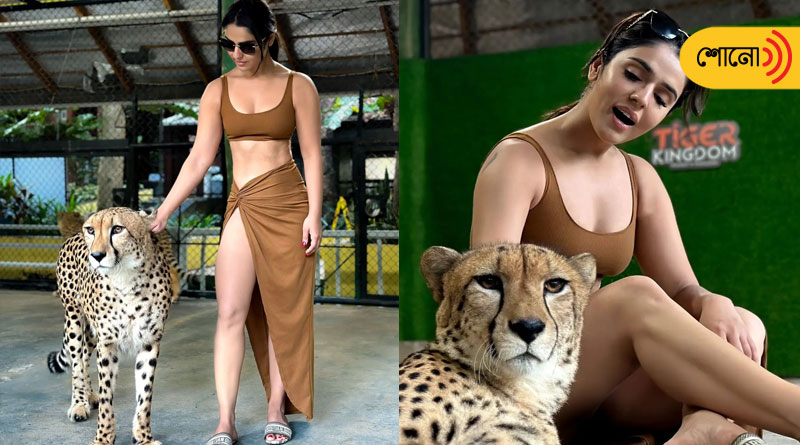 Model walking with leopard goes viral