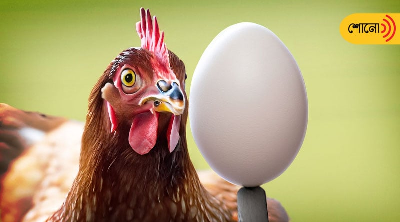 What came first, chicken or egg? resolves scientists
