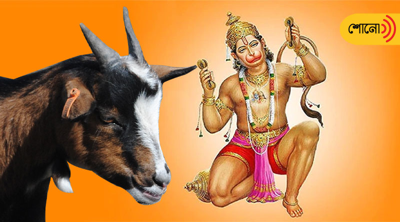 Mumbai man brings goats home ahead of Bakrid, society residents chant Hanuman Chalisa