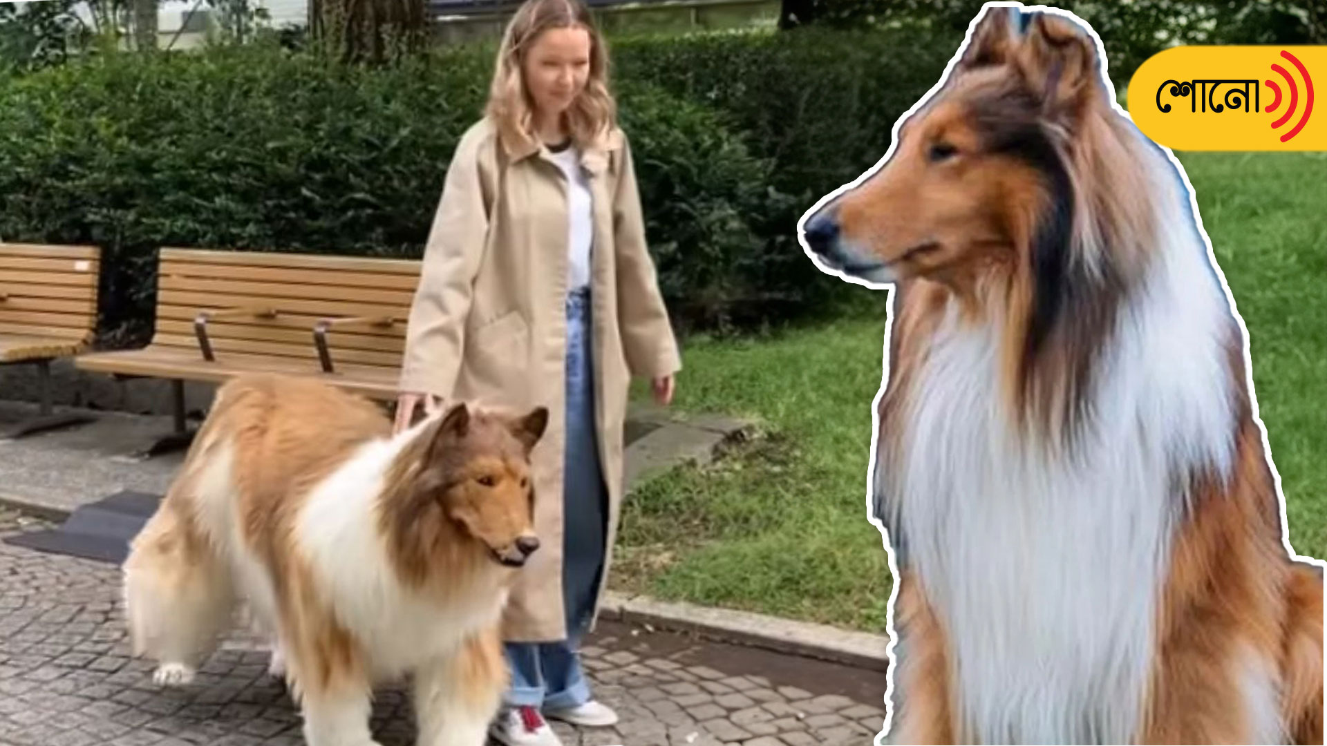 Japanese man who transforms into ‘human dog’ takes first walk in public