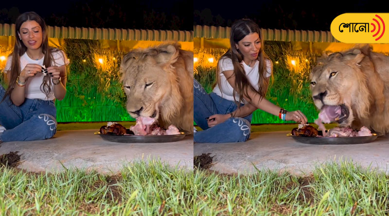 Video of a woman and lion eating from the same plate goes viral
