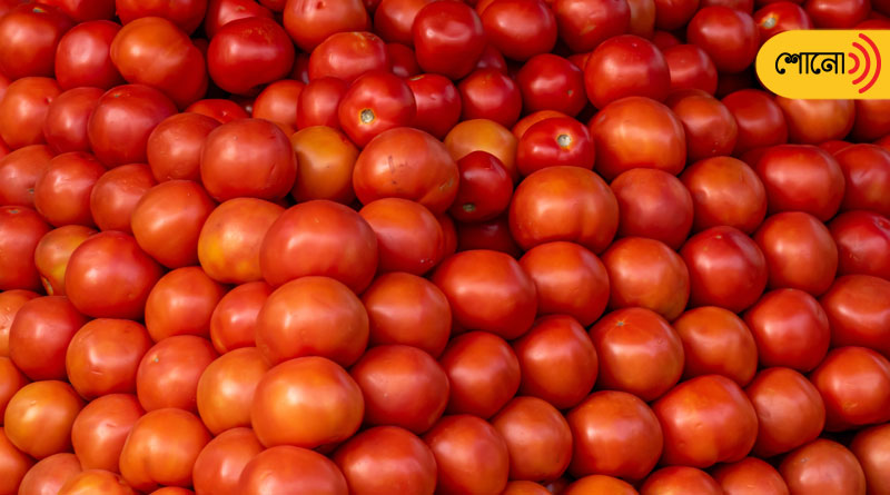 Tomatoes worth ₹1.5 lakh stolen in Karnataka, farmer lodges FIR