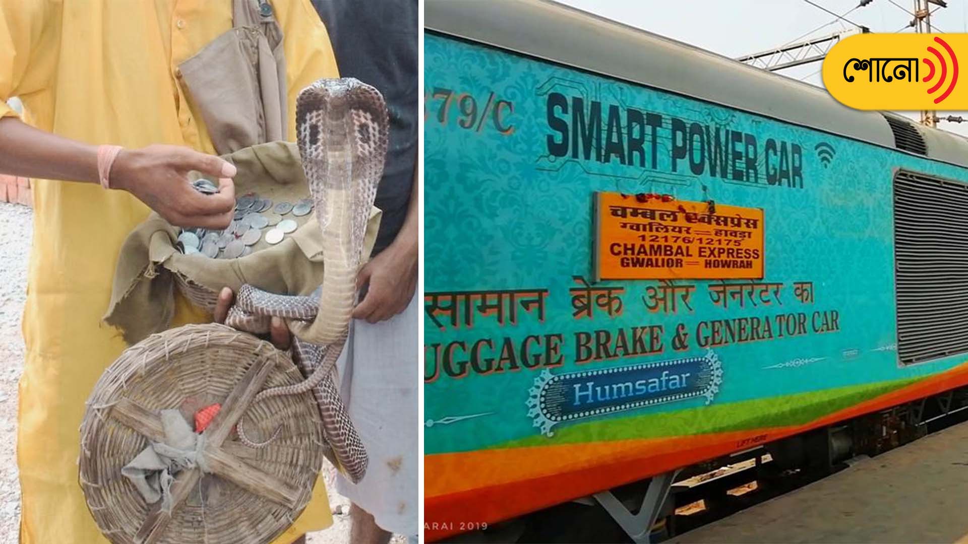 Snake Charmers Leave Snakes In Coach After Passengers Refuse Paying Money