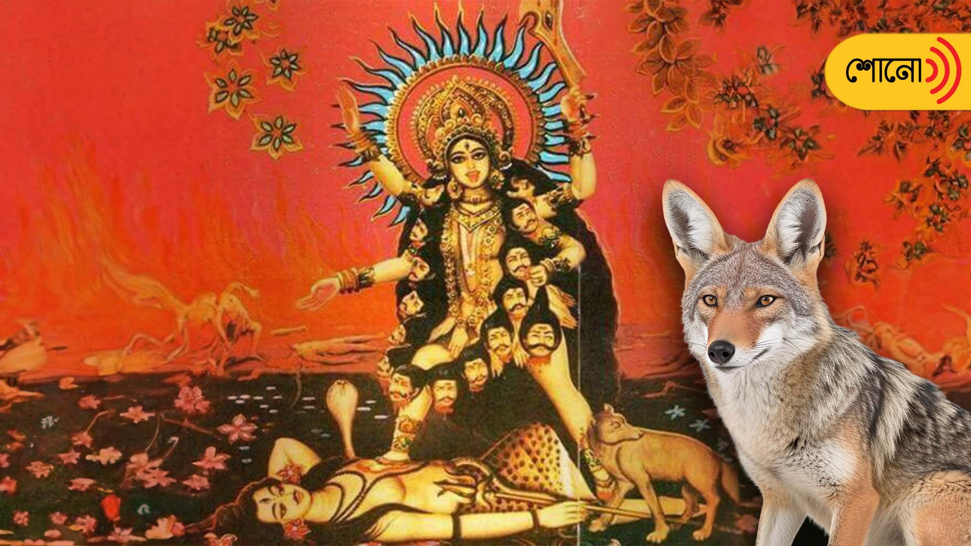 know more about Devi kali & the significance of jackal with her