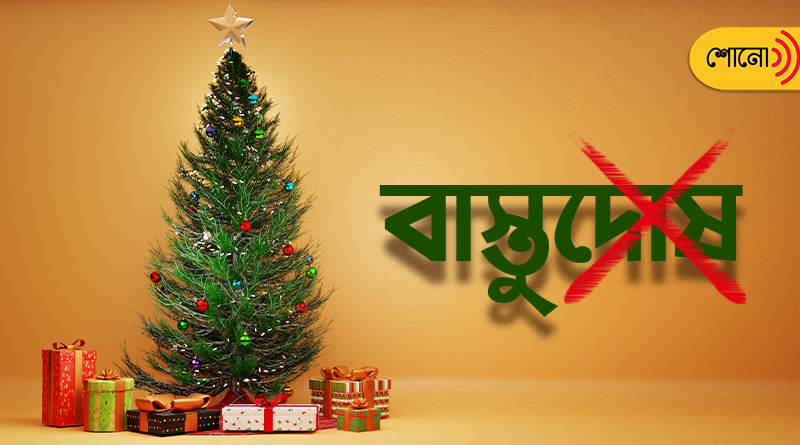know about how to Decorate Christmas Tree to Get Rid Of Vastu Problem